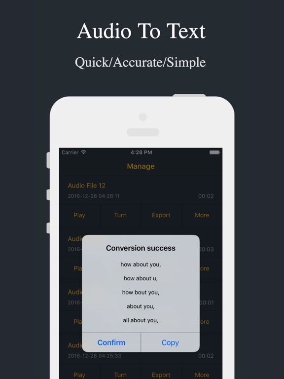 Screenshots of Audio Recorder - Voice Recorder for iPad