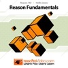 Course For Reason 6 102 - Reason Fundamentals