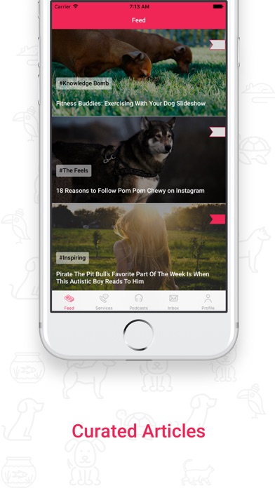iPhone Screenshot 4