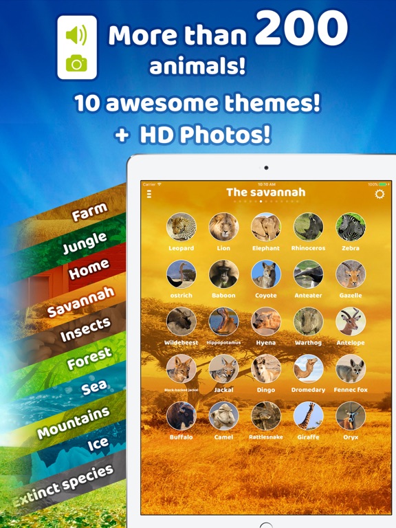 iPad Screenshot 1