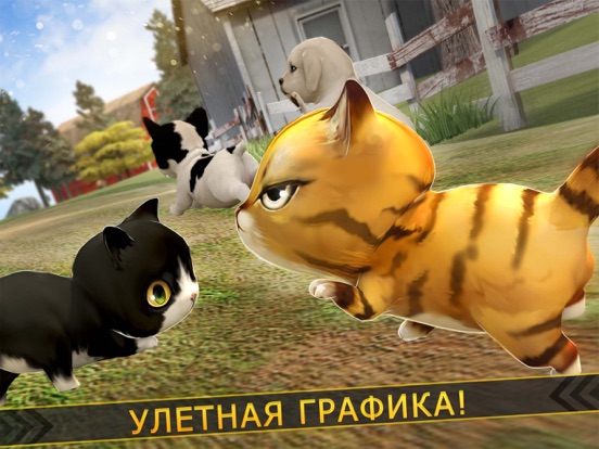 милый котенок и собака . Щенок имитатор для iPad