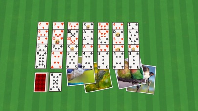 Golf Solitaire Birdsのおすすめ画像1