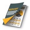 Report Templates for Word expense report templates 
