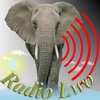 Radio Lwo uganda music 