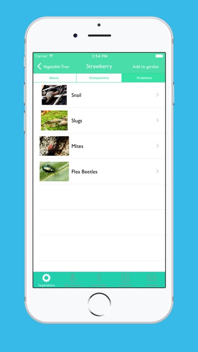 iPhone Screenshot 4