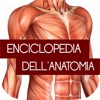 Enciclopedia dell'ANATOMIA (AppStore Link)