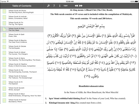iPad Screenshot 2