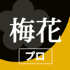 yuichi oyama - 梅花キットプロ - 御詠歌の旋律アプリ プロフェッショナル版 アートワーク