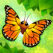 Flutter: Butterfly Sanctuary