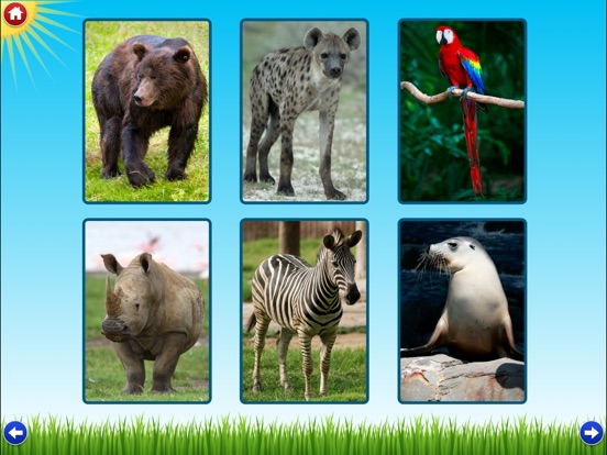 Zoo Sounds Lite - A Fun Animal Sound Game for Kids on the App Store