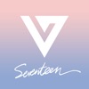 Seventeen Light Stick - VinylX
