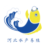 ping xia - 河北水产养殖 artwork