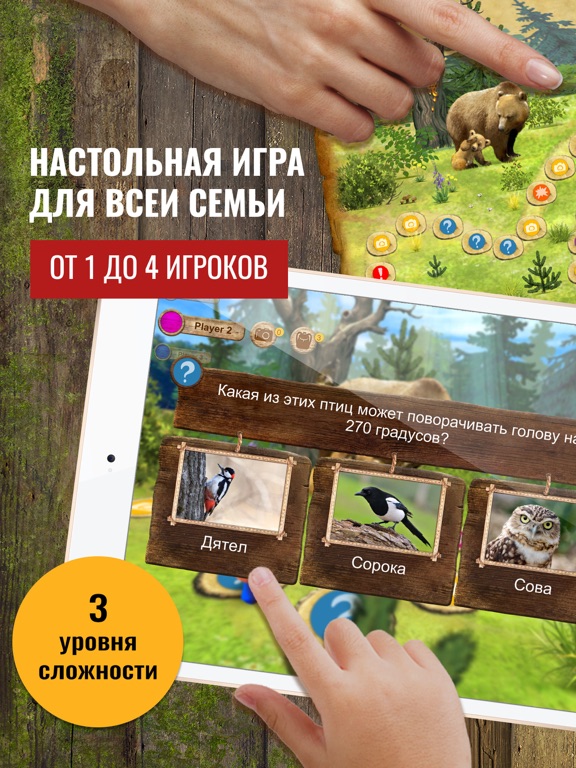 Приключения в лесу: настольная игра для детей на iPad