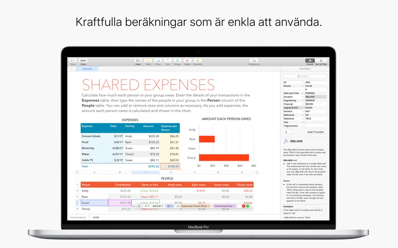 Skärmavbild 4