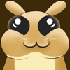 Verrückten Hamster Umfallen Pro