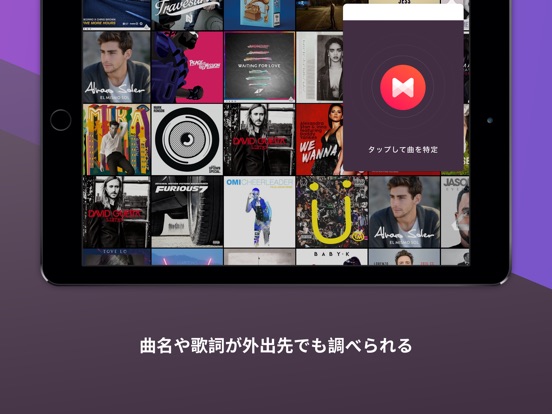 iPad スクリーンショット 4