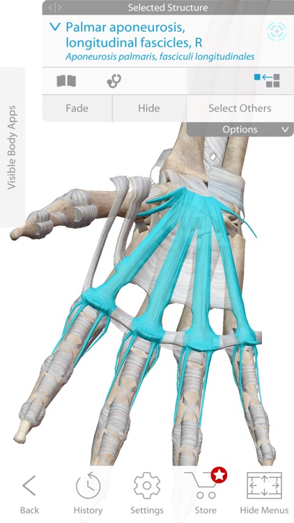 Visible Body 3d Human Anatomy Atlas For Mac Free