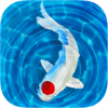 no app image
