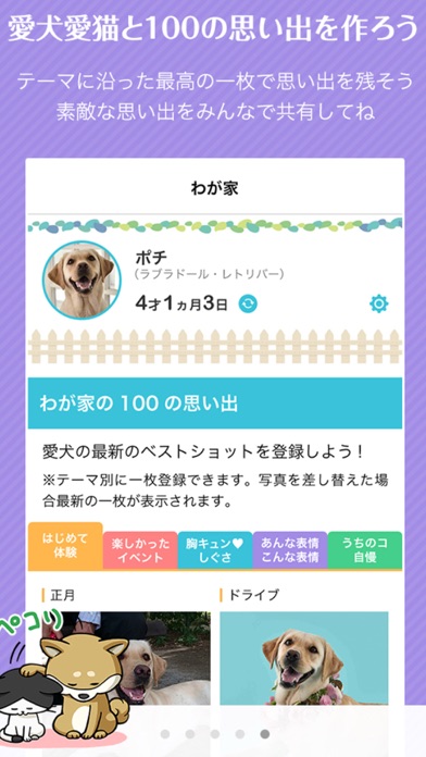 iPhone スクリーンショット 5