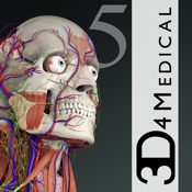 Complete anatomy for pc