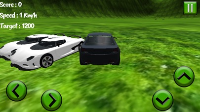 Modern Sports Car Dri... screenshot1
