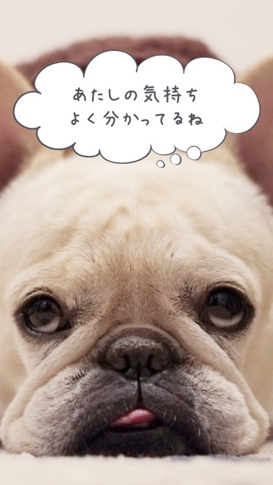 クンカブルのスクリーンショット5