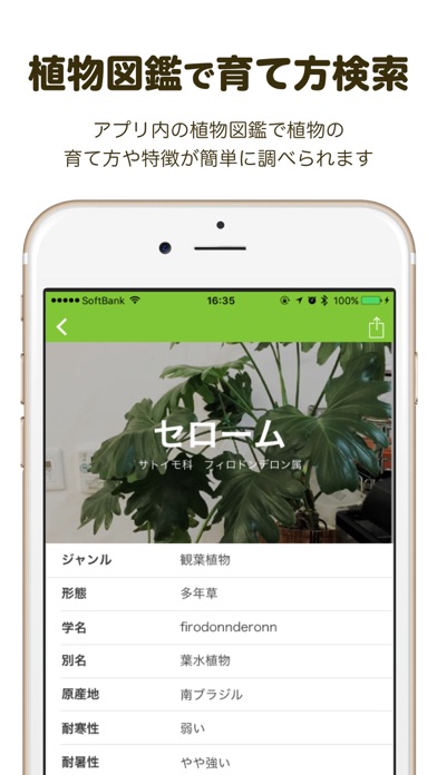 iPhone スクリーンショット 3