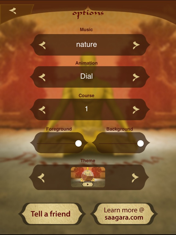 iPad Screenshot 4
