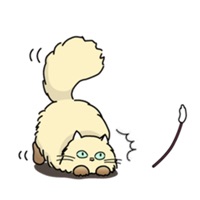 Catmoji - Cute Persian Cat Emoji Sticker App Download - Android APK