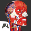 Pocket Anatomy - Pocket Anatomy Pro アートワーク