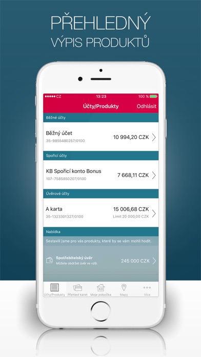 iPhone Screenshot 3