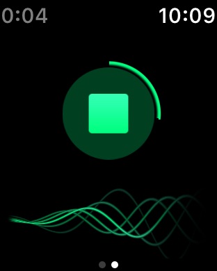 iPhone Screenshot 4