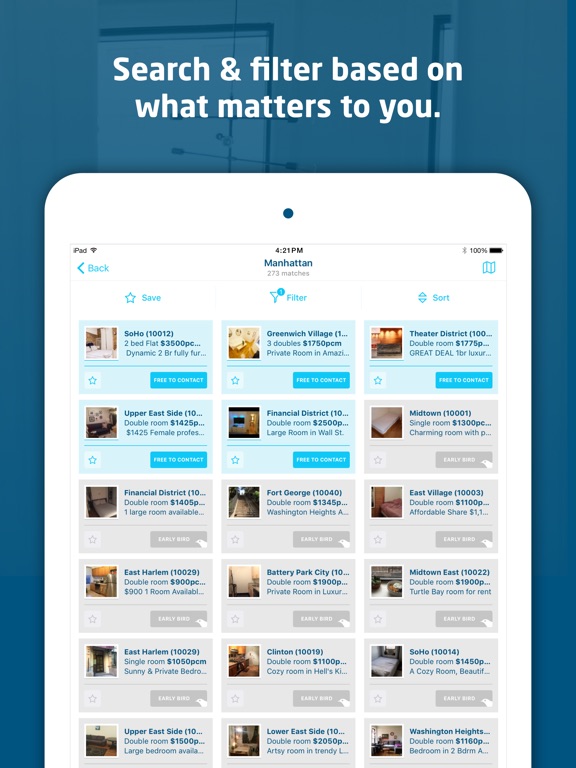 iPad Screenshot 2