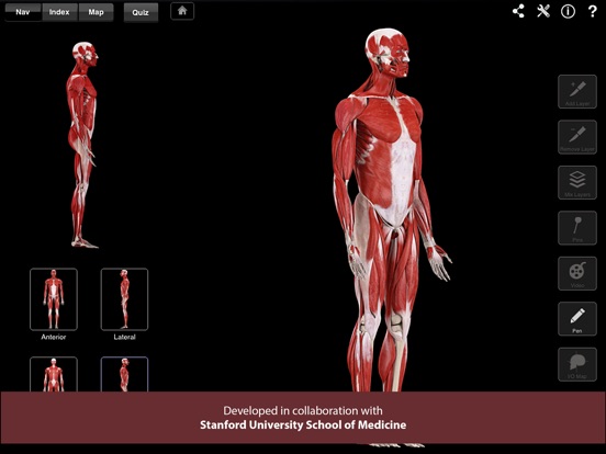 Muscle System Pro III Screenshots