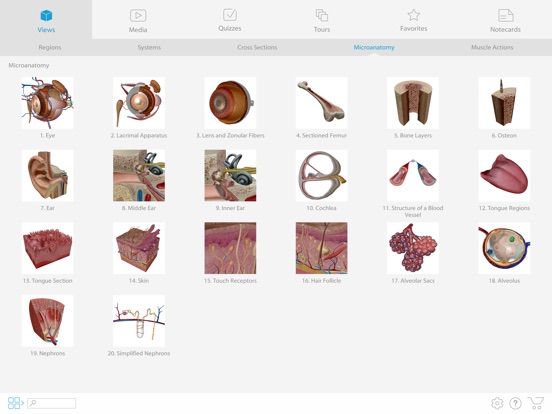 why is human anatomy atlas 2017 app on sale