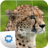 Ashok Domadiya - Animal Puzzle only Kids artwork