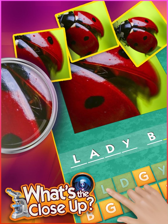 Screenshots of What's the Close Up? ~ guess the hidden object in this word puzzle of close up pics for iPad