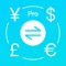 Currency Calculator P...