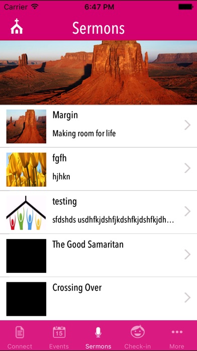 iPhone Screenshot 2