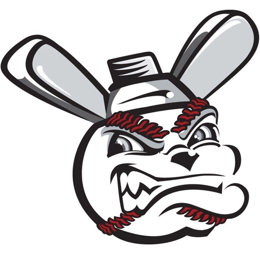 Wichita Wingnuts Baseball by Bleachr LLC