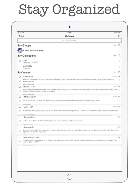 iPad Screenshot 2