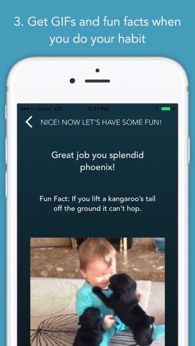 iPhone Screenshot 3