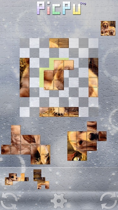 ss1
