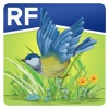 RF Nature Image Collection