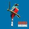 Arauca Birding birding tours 