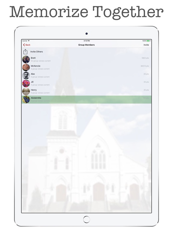 iPad Screenshot 4