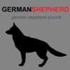 German Shepherd Sounds & Dog Barking Sounds dogs barking sounds 