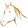 Cheval Sticker Pack!