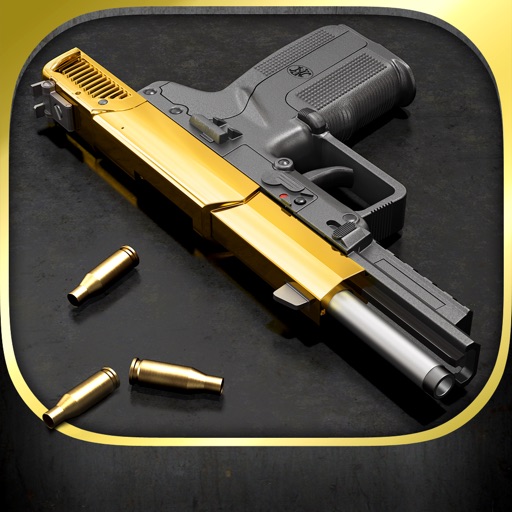 iGun Pro HD™