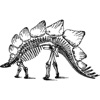 Fossil Sticker Pack